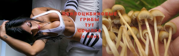 амфетамин Надым
