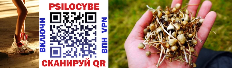 Галлюциногенные грибы Cubensis  Никольское 